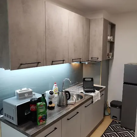 Novak Apartment Vrnjacka Banja