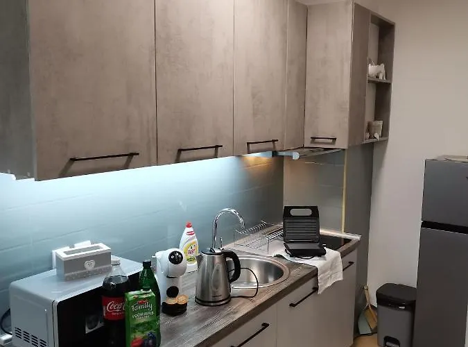 Novak 公寓 Vrnjačka Banja